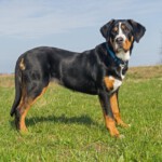 im Alter von 6Monaten